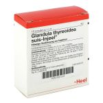 GLANDULA THYREOIDEA suis Injeel Ampullen (PZN 421316) из Германии