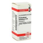 PHELLANDRIUM AQUATICUM C 30 Globuli (PZN 546070) из Германии