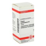ZINCUM VALERIANICUM D 6 Tabletten (PZN 1789395) из Германии