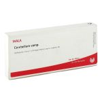CEREBELLUM COMP.Ampullen (PZN 1751145) из Германии
