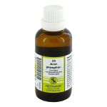 ACIDUM PHOSPHORICUM KOMPLEX Nr.25 Dilution (PZN 1909669) из Германии