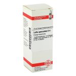 LUFFA OPERCULATA D 4 Dilution (PZN 1777073) из Германии