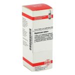 HYPERICUM EXTERN Extrakt (PZN 2102503) из Германии