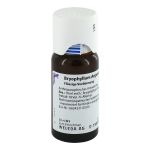 BRYOPHYLLUM ARGENTO cultum D 3 Dilution (PZN 1571934) из Германии