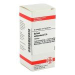 KALIUM CARBONICUM D 6 Tabletten (PZN 1775111) из Германии