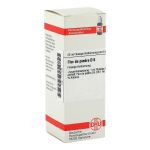 FLOR DE PIEDRA D 6 Dilution (PZN 1771030) из Германии