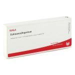 ECHINACEA/ARGENTUM Ampullen (PZN 1751398) из Германии