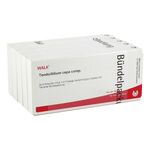TENDO/ALLIUM cepa comp.Ampullen (PZN 2086980) из Германии