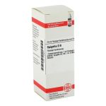 SPIGELIA D 6 Dilution (PZN 1785977) из Германии