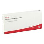 DISCI/Rhus toxicodendron comp.Ampullen (PZN 2085644) из Германии