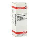 HEPAR SULFURIS D 12 Dilution (PZN 1772905) из Германии