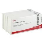 AURUM/APIS regina comp.Ampullen (PZN 2084900) из Германии