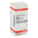 KALIUM CARBONICUM D 12 Tabletten (PZN 2116014) из Германии