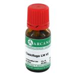 CIMICIFUGA LM 6 Dilution (PZN 2601519) из Германии