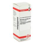 MERCURIUS CYANATUS D 6 Dilution (PZN 2618000) из Германии