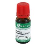 RADIUM bromatum LM 6 Dilution (PZN 2603501) из Германии