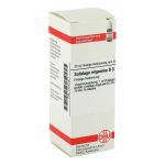 SOLIDAGO VIRGAUREA D 3 Dilution (PZN 2123238) из Германии