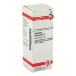 PASSIFLORA INCARNATA D 1 Dilution (PZN 2124775) из Германии