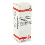 FUCUS VESICULOSUS D 6 Dilution (PZN 2614054) из Германии