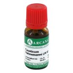 CAUSTICUM HAHNEMANNI LM 6 Dilution (PZN 2601376) из Германии