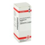 CAMPHORA Urtinktur (PZN 2118013) из Германии