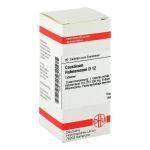 CAUSTICUM HAHNEMANNI D 12 Tabletten (PZN 2112163) из Германии
