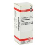 PLANTAGO MAJOR Urtinktur (PZN 2124048) из Германии