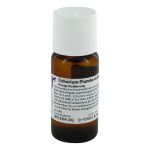 CICHORIUM PLUMBO cultum D 3 Dilution (PZN 2592766) из Германии