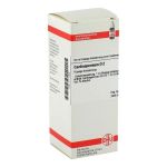 CARDIOSPERMUM D 2 Dilution (PZN 2111956) из Германии