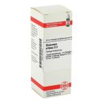 DIOSCOREA VILLOSA D 2 Dilution (PZN 2612902) из Германии