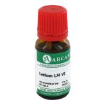 LEDUM LM 6 Dilution (PZN 2602631) из Германии