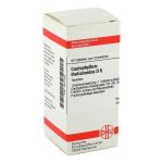 CAULOPHYLLUM THALICTROIDES D 6 Tabletten (PZN 2627789) из Германии
