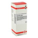 CALENDULA EXTERN (PZN 2609550) из Германии