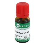 CIMICIFUGA LM 12 Dilution (PZN 2601525) из Германии