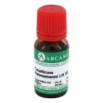 CAUSTICUM HAHNEMANNI LM 12 Dilution (PZN 2601382) из Германии