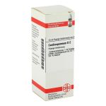 CARDIOSPERMUM D 2 Dilution (PZN 2111910) из Германии