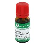 DIGITALIS PURPUREA LM 18 Dilution (PZN 2601821) из Германии