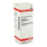 CAUSTICUM HAHNEMANNI Urtinktur D 1 (PZN 2610211) из Германии