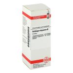 SOLIDAGO VIRGAUREA Urtinktur (PZN 2123215) из Германии