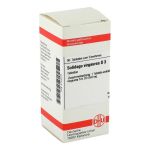 SOLIDAGO VIRGAUREA D 3 Tabletten (PZN 2123273) из Германии