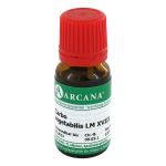 CARBO VEGETABILIS LM 18 Dilution (PZN 2601324) из Германии