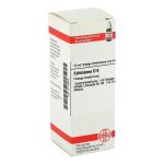 ECHINACEA HAB D 6 Dilution (PZN 2113978) из Германии