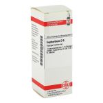 EUPHORBIUM D 6 Dilution (PZN 2114280) из Германии