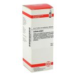 LEDUM EXTERN Tinktur (PZN 2616745) из Германии