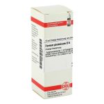 FERRUM PICRINICUM D 6 Dilution (PZN 2613847) из Германии