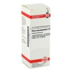 RHUS TOXICODENDRON D 30 Dilution (PZN 2104985) из Германии
