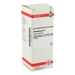 CHELIDONIUM D 4 Dilution (PZN 2610576) из Германии