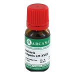 BERBERIS VULGARIS LM 18 Dilution (PZN 2600945) из Германии