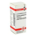 CUPRUM ACETICUM D 4 Globuli (PZN 2127992) из Германии