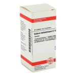 KALIUM BICHROMICUM D 12 Tabletten (PZN 2632158) из Германии